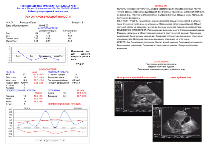 Протоколы УЗИ (образцы, бланки) - смотреть видео (видео)