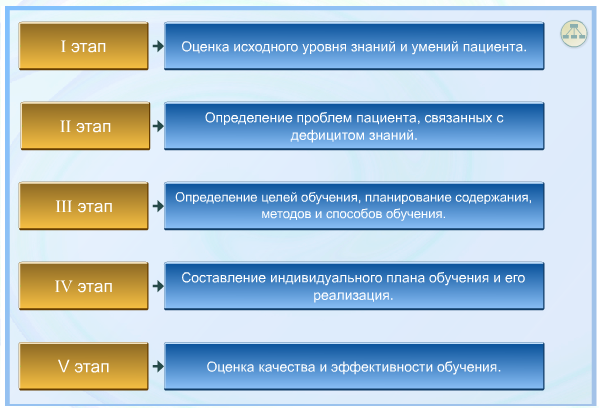 3 этапа образования