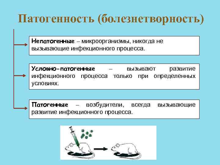 Патогенность это