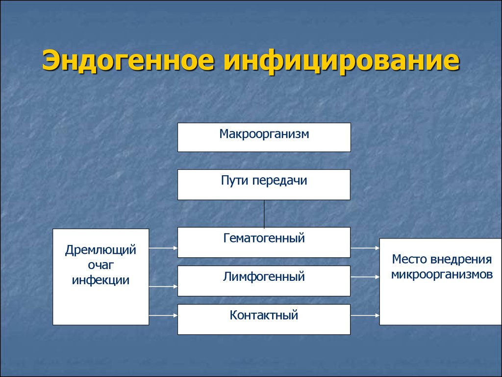 Пути передачи это. Эндогенный путь передачи инфекции. Пути эндогенного инфицирования. Пути распространения эндогенной инфекции. Экзогенные пути передачи инфекции.